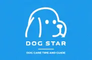 dogstar